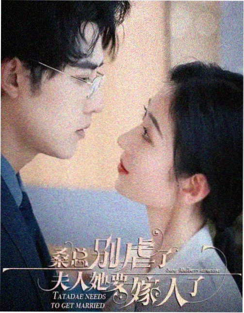 妈妈的朋友杜比音效重制版封面
